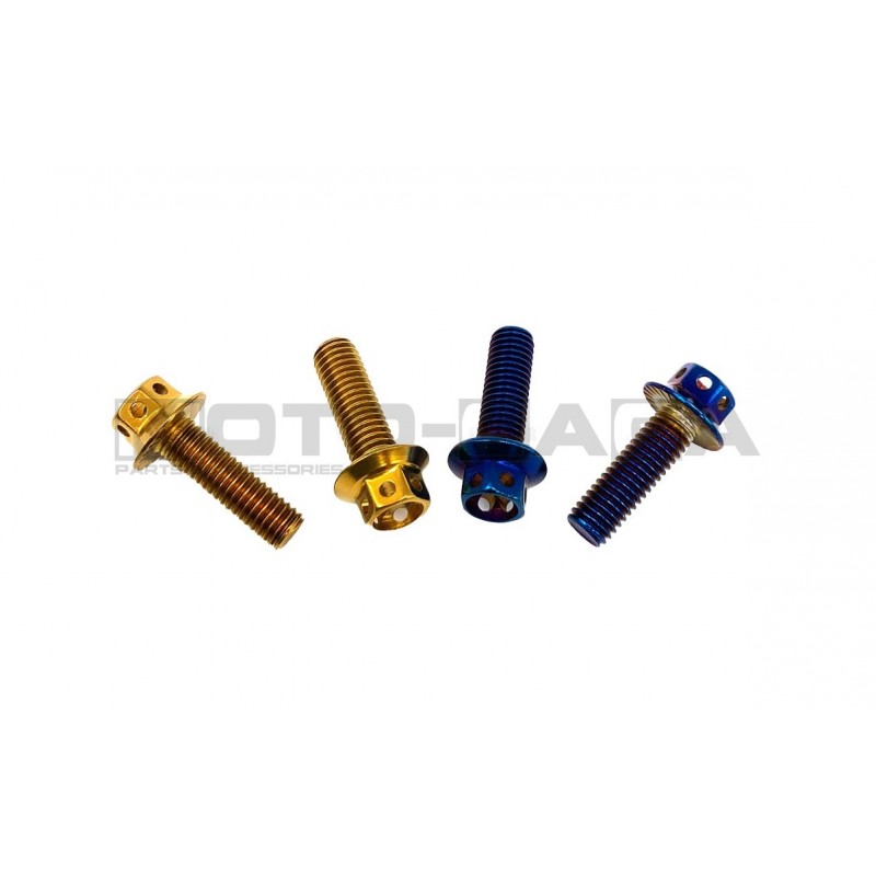 (Gold/Rainbow) Dress Up Hex Screw - M8x40mm